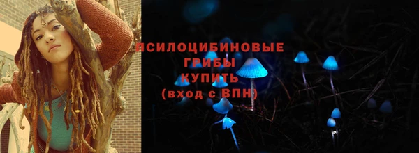 дурь Лабытнанги