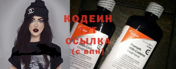 дурь Лабытнанги