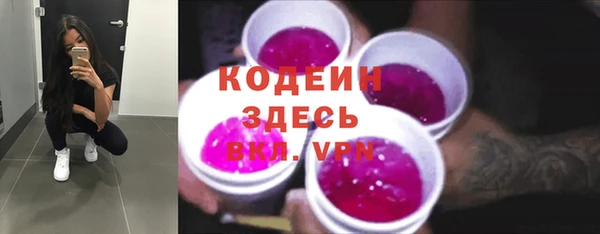 дурь Лабытнанги
