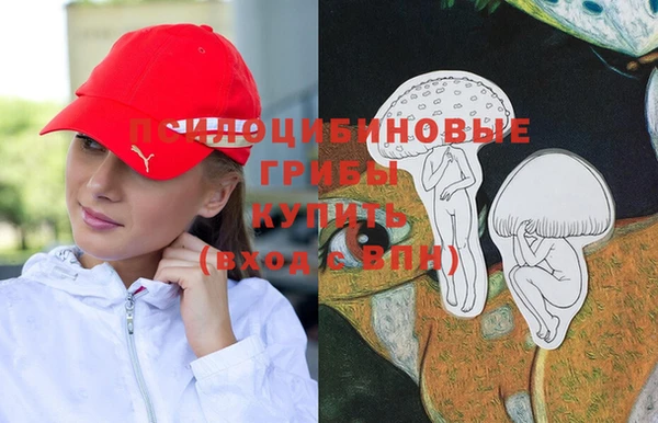 a pvp Ладушкин
