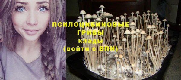 тгк Пенза