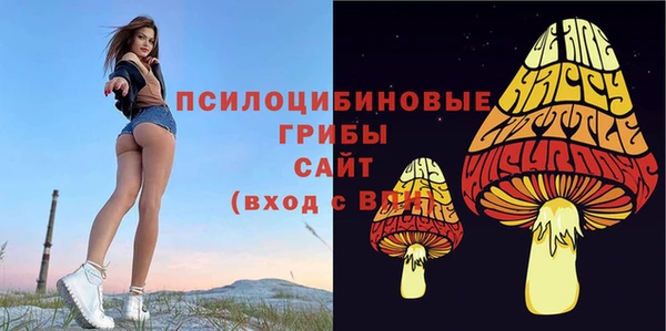 дурь Лабытнанги