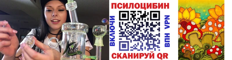 Псилоцибиновые грибы MAGIC MUSHROOMS  Чухлома 